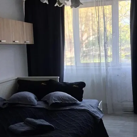 Mr Lägenhet *